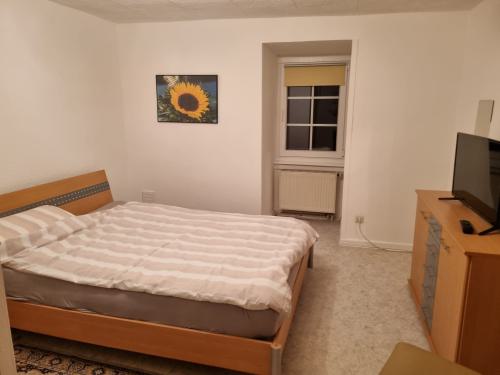 whatsapp_image_2026-01-17_at_19